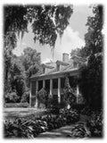 Historic American Homes Southern style home design Shadows on the Teche