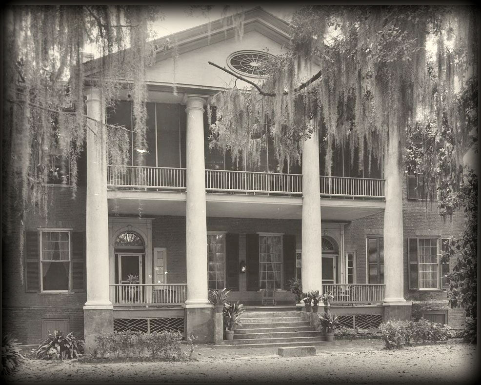 Gloucester, a Natchez mansion of Antebellum grace, architectural print