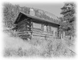 historic american homes black and white photos of a log cabin